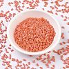 MIYUKI Half TILA Beads X-SEED-J020-HTL406FR-3