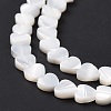 Natural Trochus Shell Beads Strands SSHEL-H070-06A-5