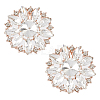 2Pcs Alloy Rhinestone Shoe Decorations AJEW-FG0003-72B-1