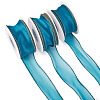 3 Rolls Polyester Organza Ribbons SRIB-TA0001-26B-2