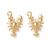 Ocean Brass Pendants KK-L266-02G-G-1