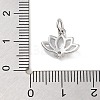 Rack Plating Brass Clear Cubic Zirconia Pendants KK-M293-11P-3