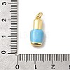 Brass Enamel Pendants KK-A268-03G-B05-3