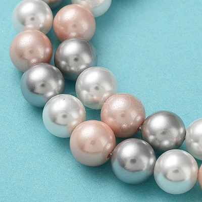 Shell Pearl Bead Strands BSHE-L017-20-1