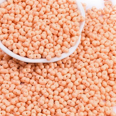 Baking Paint Glass Seed Beads X1-SEED-K010-A14-1
