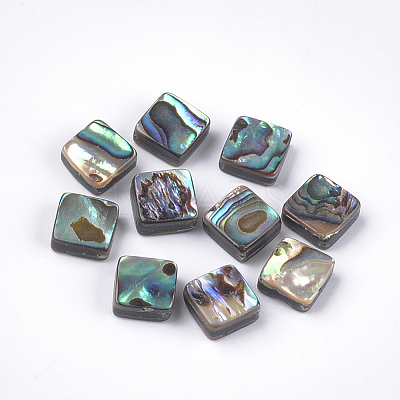 Abalone Shell/Paua Shell Beads X-SSHEL-T008-02-1