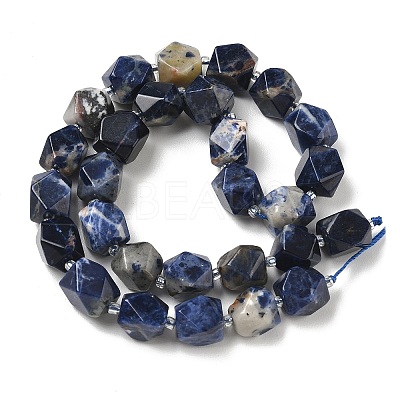 Natural Sodalite Beads Strands GG-CBAF8A8-A03-01-1