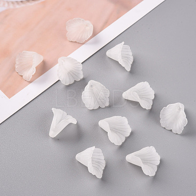 Transparent Acrylic Bead Caps PL551-1