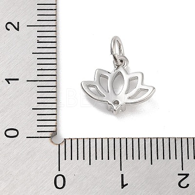 Rack Plating Brass Clear Cubic Zirconia Pendants KK-M293-11P-1