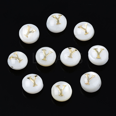 Natural Freshwater Shell Beads SHEL-S278-036Y-1