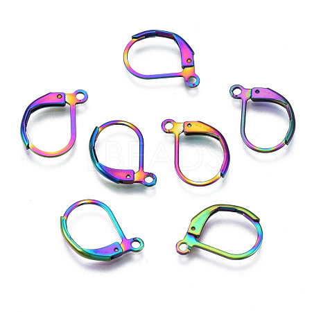 304 Stainless Steel Leverback Earring Findings STAS-N092-105-NR-1