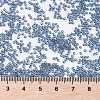 MIYUKI Round Rocailles Beads X-SEED-G009-RR2411-2