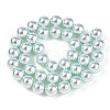 Glass Pearl Beads Strands HY-G002-01E-12-5