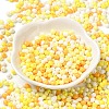 6/0 Opaque Baking Paint Glass Seed Beads SEED-M012-02A-28-2