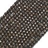 Natural Red Snowflake Obsidian Beads Strands G-A260-A14-01-2