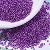 MIYUKI Delica Beads X-SEED-J020-DB0431-1