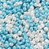 Glass Seed Beads SEED-L011-04A-18-3