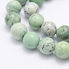 Natural Green Grass Jasper Beads Strands G-J373-03-9.5mm-2