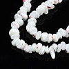 Natural Freshwater Shell Beads Strands SHEL-N003-23-A01-3