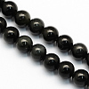 Natural Obsidian Round Beads Strands G-S156-10mm-1
