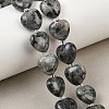 Natural Labradorite Beads Strands G-B022-32C-A-1