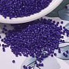 MIYUKI Delica Beads LS-X-SEED-J020-DB0726-1