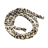 Natural Dalmatian Jasper Beads Strands G-M403-A31-01-3