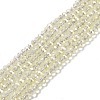 Electroplate Glass Beads Strands EGLA-J144-FR-A01-1