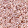Glass Seed Beads SEED-H002-H-1310-3