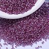MIYUKI Delica Beads SEED-X0054-DB2156-1