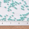 MIYUKI Delica Beads SEED-MY11-DB1136-3