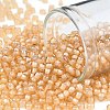 TOHO Round Seed Beads SEED-TR08-0391-1