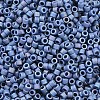 MIYUKI Delica Beads SEED-MY11-DB2317-2