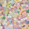 FGB Frosted Transparent Glass Seed Beads SEED-N013-04A-3