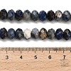 Natural Sodalite Beads Strands G-Z111-A20-6