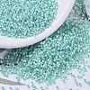 MIYUKI Delica Beads X-SEED-J020-DB0626-1