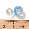 Mixed Style Glass Beads GLAA-XCP0012-02D-3