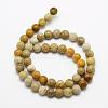 Natural Fossil Coral Beads Strands G-K194-4mm-05-2