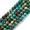 Dyed Natural Regalite/Imperial Jasper/Sea Sediment Jasper Beads Strands X-G-B124-C02-13-1