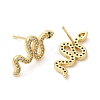 Rack Plating Brass Snake Stud Earrings with Cubic Zirconia EJEW-D061-52G-2