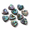 Abalone Shell/Paua Shell Beads LS-SHEL-T005-01-1