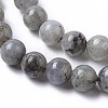 Natural Labradorite Beads Strands G-I261-D02-8mm-3