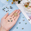 20Pcs Abalone Shell/Paua Shell Beads SSHEL-FI0001-03-3