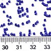 FGB 11/0 Grade A Glass Seed Beads X-SEED-S030-1024-4