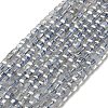Natural Labradorite Beads Strands X-G-D470-07-1
