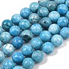 Natural Gemstone Hemimorphite Round Beads Strands G-L145-14mm-01-3
