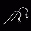 925 Sterling Silver Earring Hooks STER-K167-067S-4