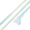 10 Skeins 6-Ply Polyester Embroidery Floss OCOR-K006-A26-3
