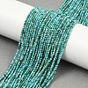 Natural HuBei Turquoise Beads Strands G-C181-A01-01-1