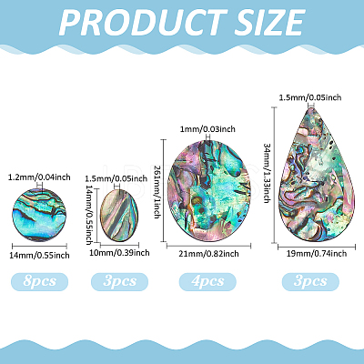 18Pcs 4 Styles Natural Paua Shell Cabochons SHEL-WR0001-10-1
